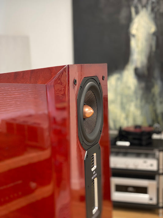 Legacy Focus SE Pair