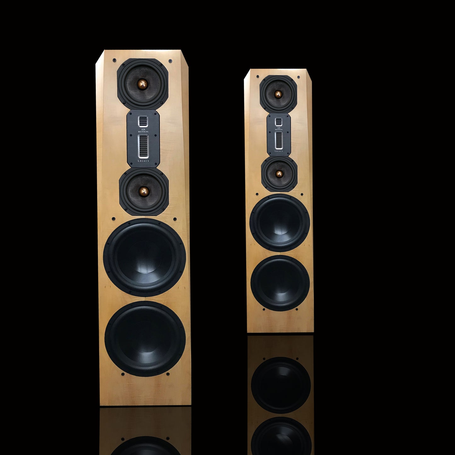 Instant Ship: Legacy Focus SE Pair