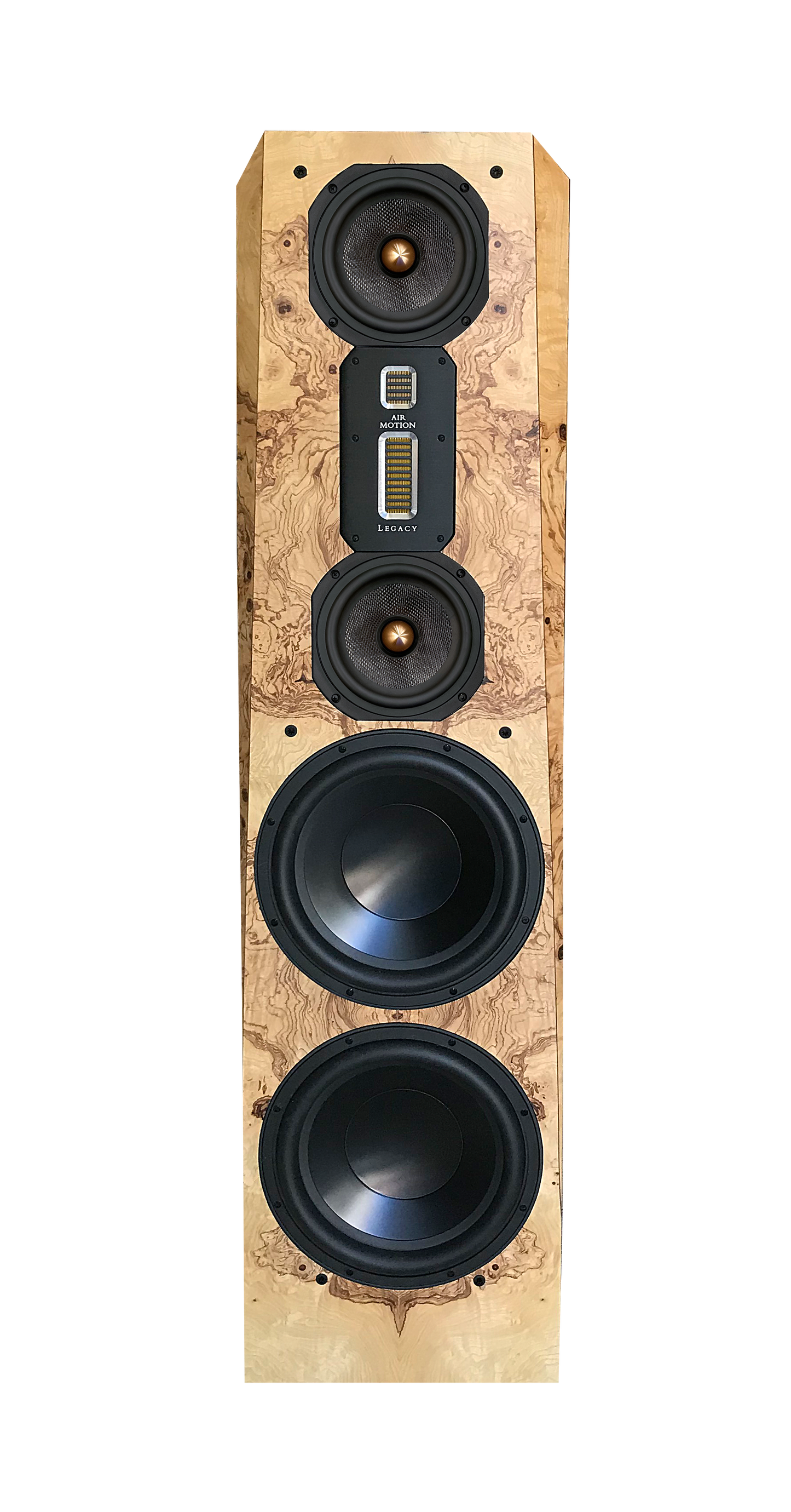 Instant Ship: Legacy Focus SE Pair