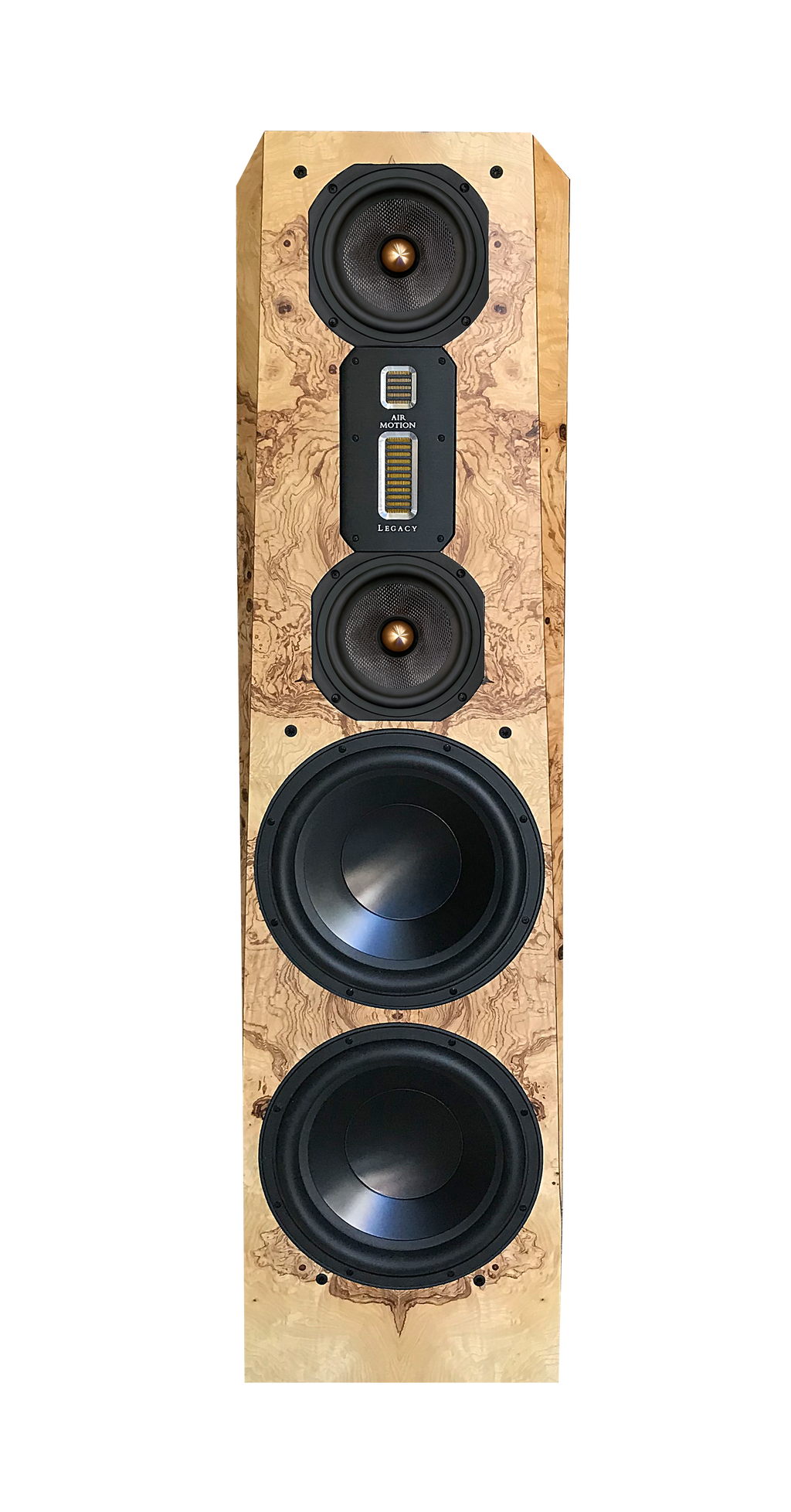 Legacy Focus SE Pair